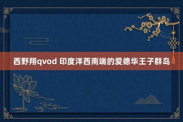 西野翔qvod 印度洋西南端的爱德华王子群岛