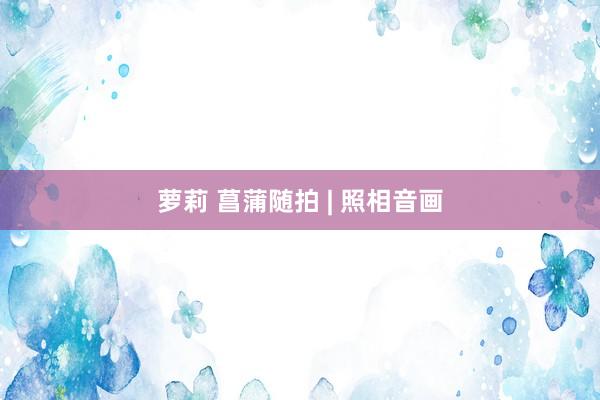 萝莉 菖蒲随拍 | 照相音画