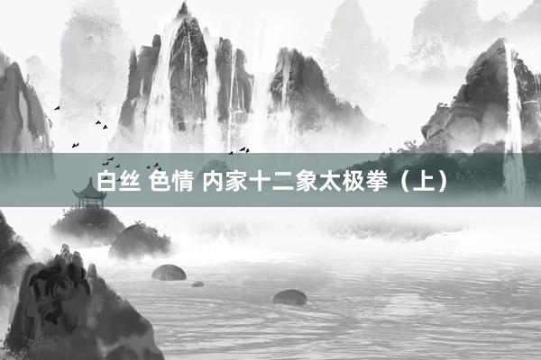 白丝 色情 内家十二象太极拳（上）