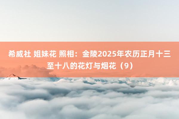 希威社 姐妹花 照相：金陵2025年农历正月十三至十八的花灯与烟花（9）