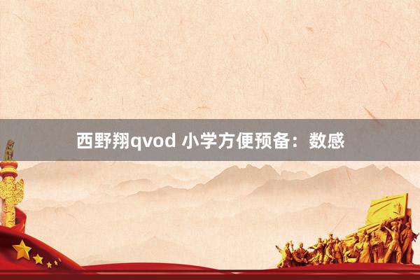 西野翔qvod 小学方便预备：数感