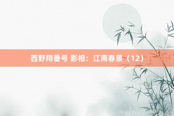 西野翔番号 影相：江南春景（12）